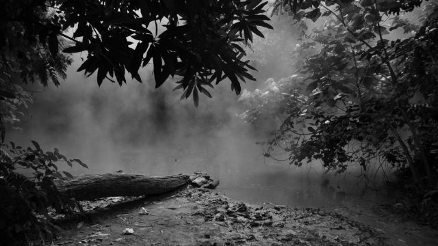 オタ芸 ヲタ芸 とは 意味や種類 使い方を解説 ネットペディア ネット用語やオタク用語の意味解説サイト